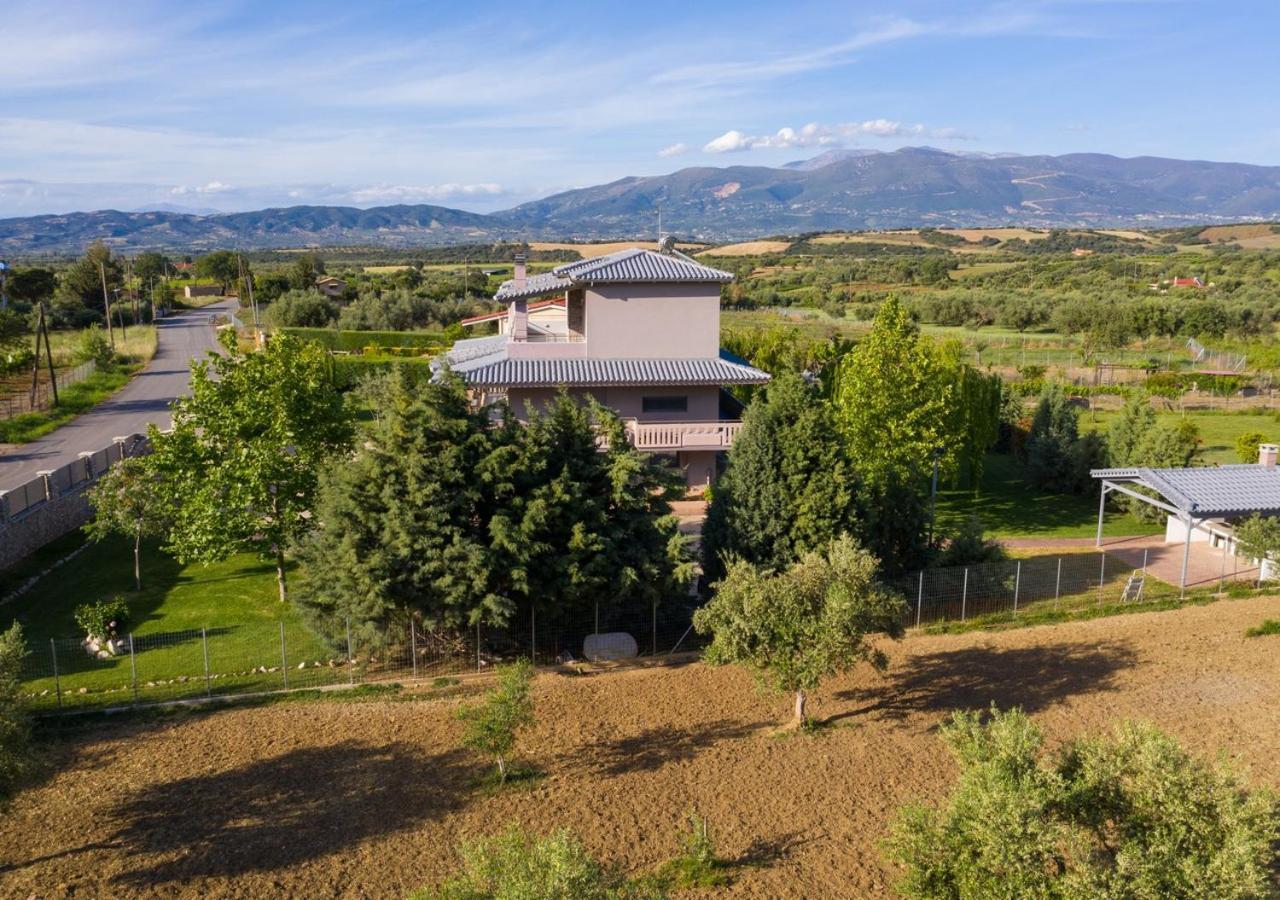 Villa In Nature Mitopoli Zewnętrze zdjęcie